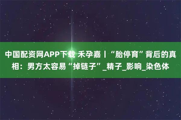 中国配资网APP下载 禾孕嘉丨“胎停育”背后的真相：男方太容易“掉链子”_精子_影响_染色体