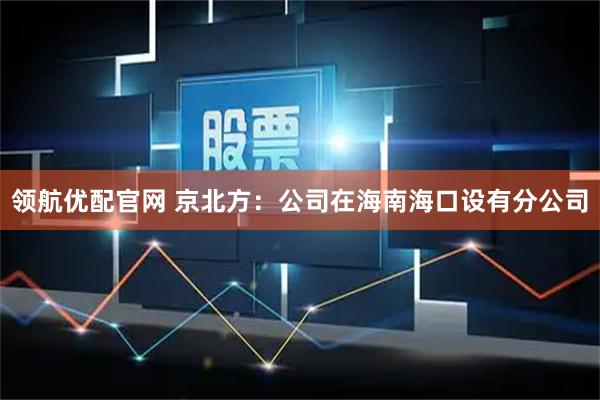 领航优配官网 京北方：公司在海南海口设有分公司