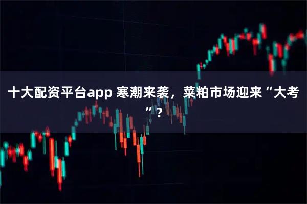 十大配资平台app 寒潮来袭，菜粕市场迎来“大考”？